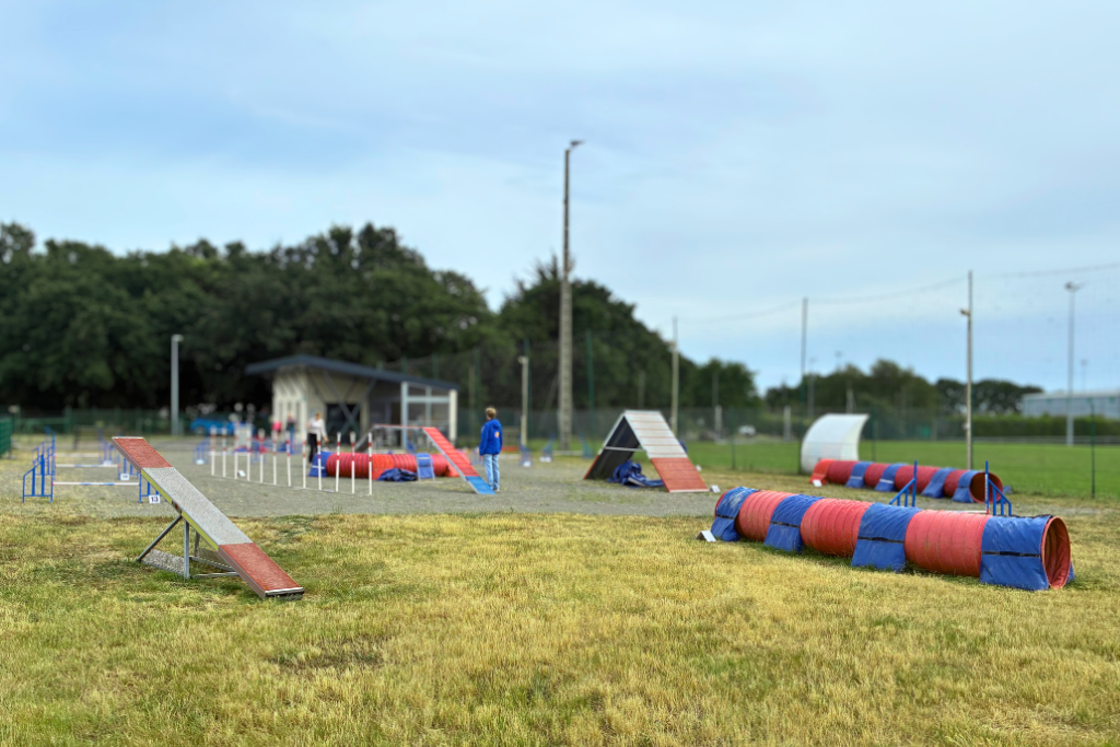 Terrain d'agility du Sport Canin Olonnais