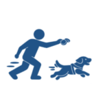 flyball