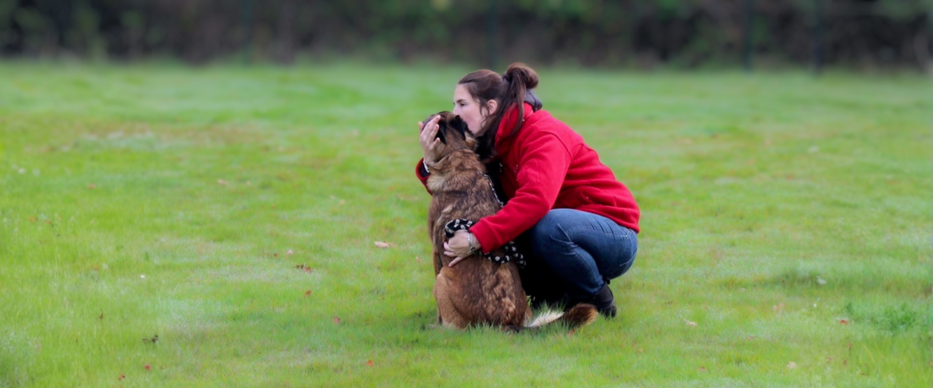 Sport Canin Olonnais